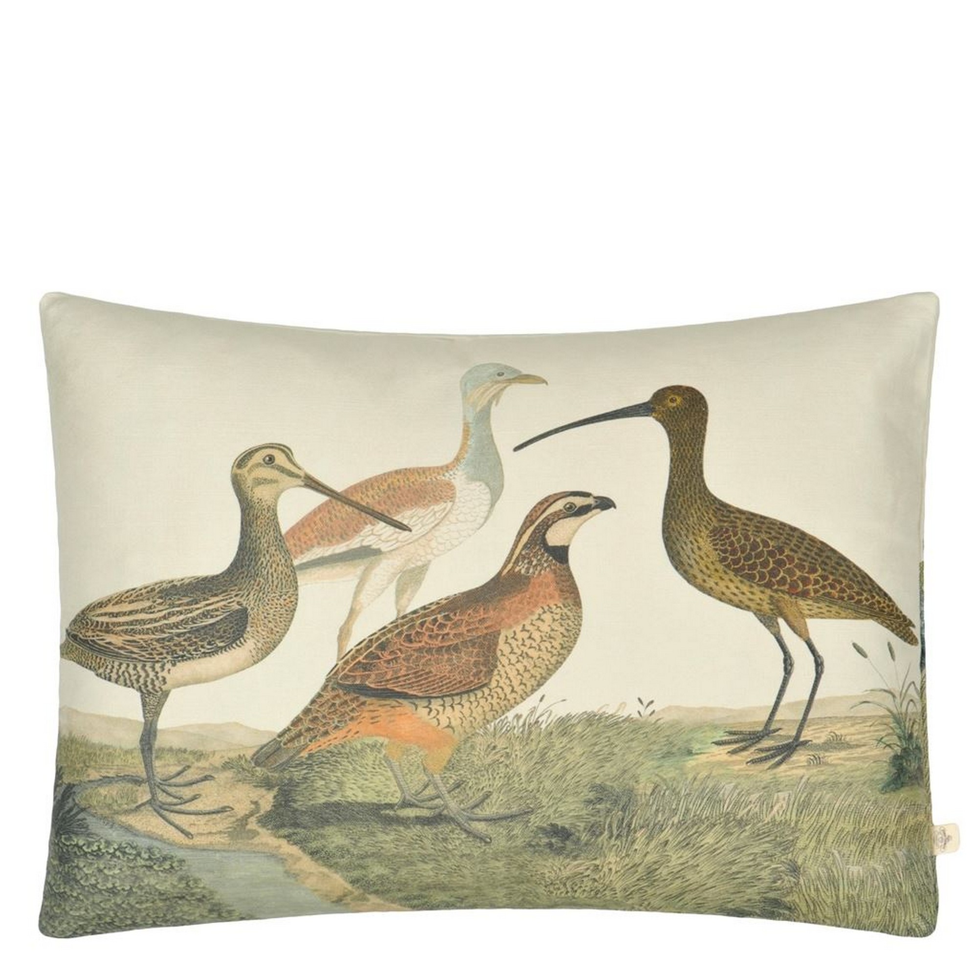 Birds Of A Feather Cushion In Parchment Brown By John Derian